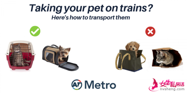 eight col pets on trains image